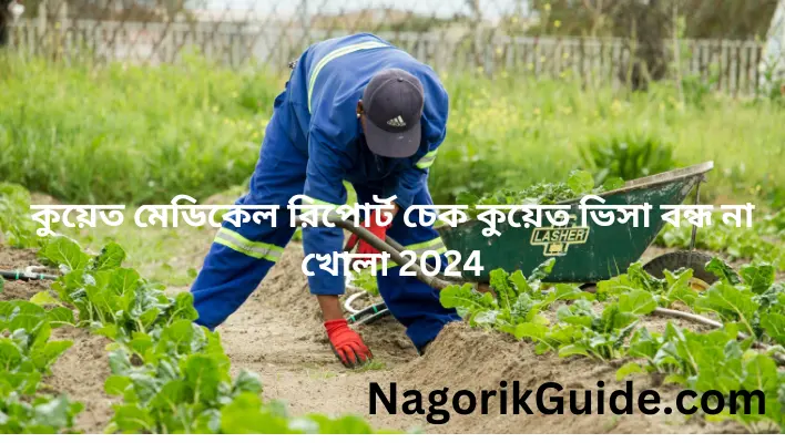 কুয়েত মেডিকেল রিপোর্ট চেক