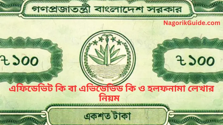 এফিডেভিট কি বা এভিডেভিড কি এবং হলফনামা লেখার নিয়ম জানুন এফিডেভিট কি বা এভিডেভিড কি