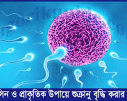 মেডিসিন এবং প্রাকৃতিকভাবে শুক্রাণুর সংখ্যা বৃদ্ধি করার উপায় মেডিসিন এবং প্রাকৃতিকভাবে শুক্রাণুর সংখ্যা বৃদ্ধি করার উপায়