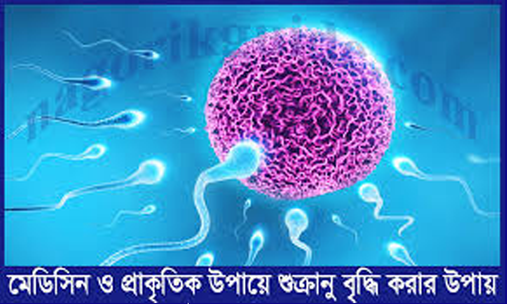 মেডিসিন এবং প্রাকৃতিকভাবে শুক্রাণুর সংখ্যা বৃদ্ধি করার উপায়