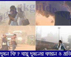 বায়ু দূষণ কি? বায়ু দূষণের ৫টি কারণ জানুন বায়ু দূষণ কি? বায়ু দূষণের ৫টি কারণ জানুন