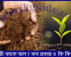 মাটি কাকে বলে? মাটি কত প্রকার ও কি কি ?