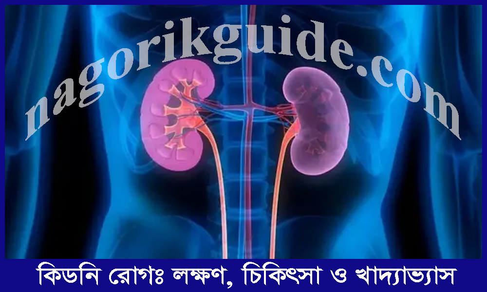 সুস্থ কিডনির লক্ষণ: কিডনি রোগের লক্ষণ, চিকিৎসা ও খাদ্যাভ্যাস 1 সুস্থ কিডনির লক্ষণ: কিডনি রোগের লক্ষণ, চিকিৎসা ও খাদ্যাভ্যাস