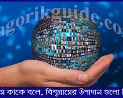 বিশ্বগ্রাম কাকে বলে? বিশ্বগ্রামের উপাদান কি কি বিশ্বগ্রাম বলতে কাকে বলে? বিশ্বগ্রামের উপাদান কি কি