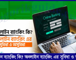 অনলাইন ব্যাংকিং কি? অনলাইন ব্যাংকিং এর সুবিধা ও অসুবিধা অনলাইন ব্যাংকিং কি? অনলাইন ব্যাংকিং এর সুবিধা ও অসুবিধা