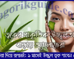 এলোভেরা দিয়ে রূপচর্চা | ১ মাসেই উজ্জল ত্বক পাবেন যেভাবে এলোভেরা দিয়ে রূপচর্চা | ১ মাসেই উজ্জল ত্বক পাবেন যেভাবে