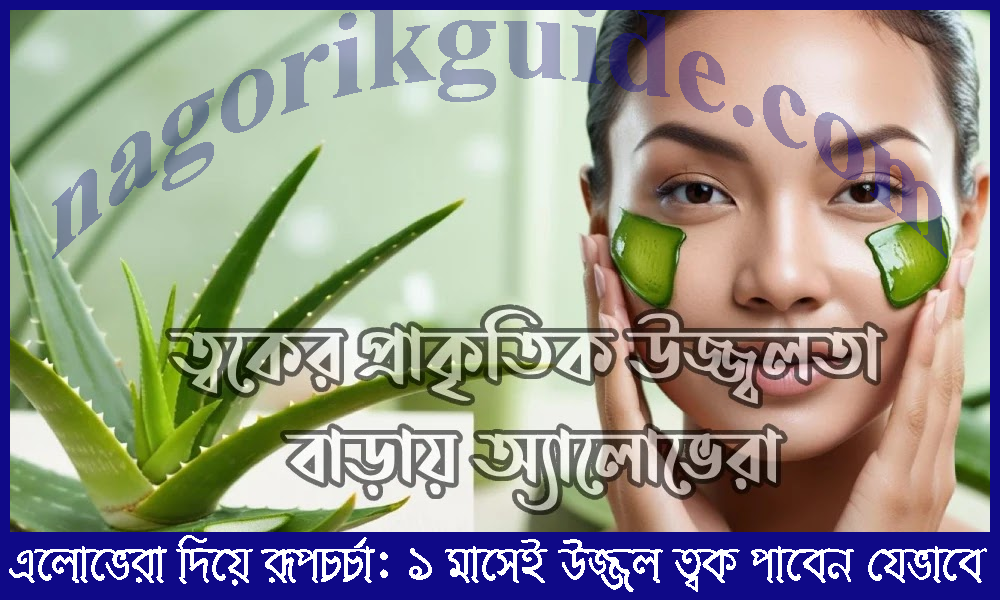 এলোভেরা দিয়ে রূপচর্চা | ১ মাসেই উজ্জল ত্বক পাবেন যেভাবে