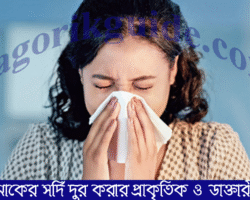 শীতে নাকের সর্দি দূর করার উপায় | প্রাকৃতিক ও ডাক্তারী চিকিৎসা