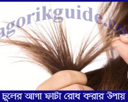 চুলের আগা ফাটা রোধ করার উপায়: ঘরোয়া উপায়ে স্থায়ী সমাধান চুলের আগা ফাটা রোধ করার উপায়: ঘরোয়া উপায়ে স্থায়ী সমাধান