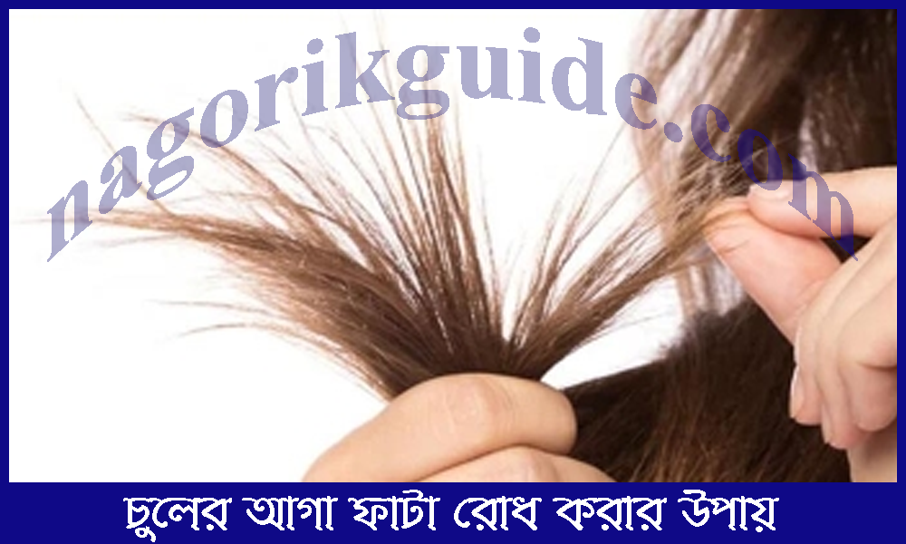 চুলের আগা ফাটা রোধ করার উপায়: ঘরোয়া উপায়ে স্থায়ী সমাধান